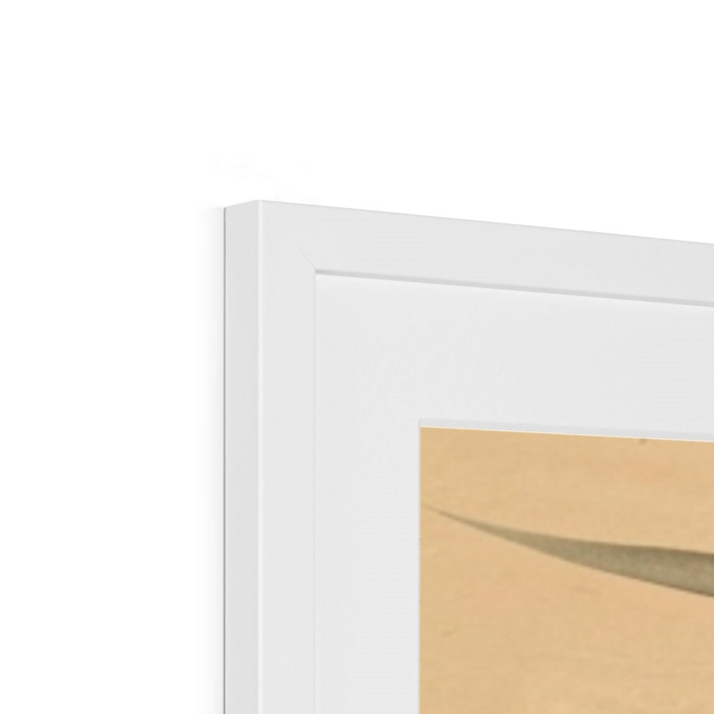 Framed & Mounted Print