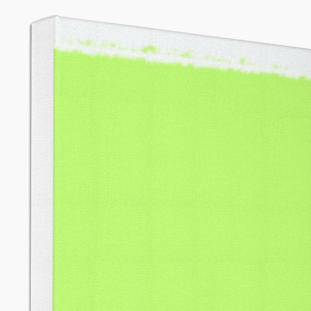 excelsior Canvas